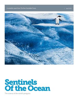 Sentinels of the Ocean the Science of the World’S Penguins