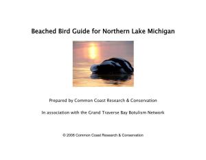 Beached Bird Guide for Northern Lake Michigan