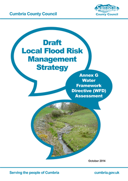 Draft Local Flood Risk Management Strategy Annex G Water Framework Directive (WFD) Assessment
