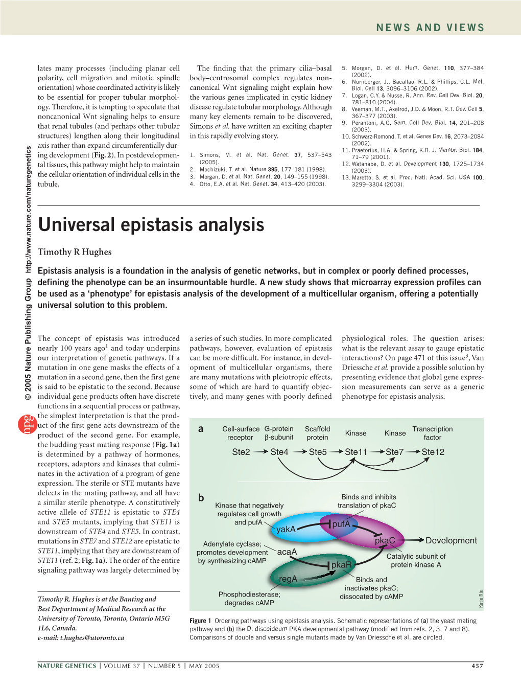 Universal Epistasis Analysis