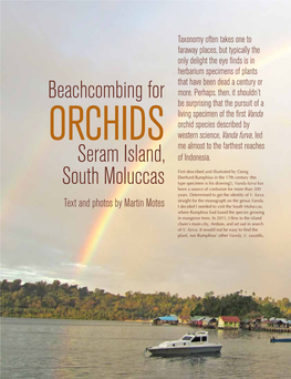 Beachcombing for Seram Island, South Moluccas