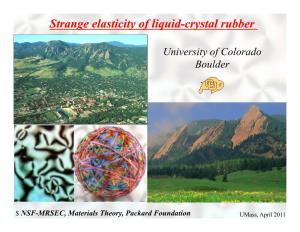 Strange Elasticity of Liquid Crystal Rubber: Critical Phase