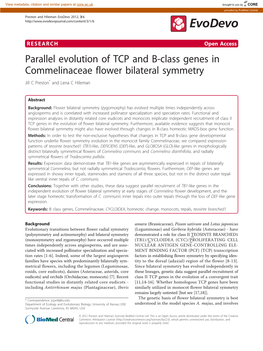 Parallel Evolution of TCP and B-Class Genes in Commelinaceae Flower Bilateral Symmetry Jill C Preston* and Lena C Hileman
