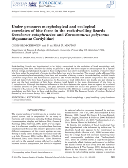 Morphological and Ecological Correlates of Bite Force in the Rockdwelling Lizards Ouroborus Cataphractus And