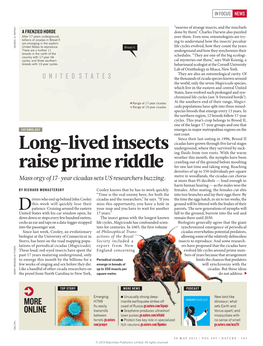 Long-Lived Insects Raise Prime Riddle