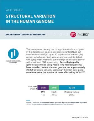 Structural Variation in the Human Genome