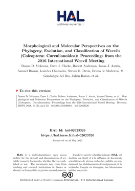 Morphological and Molecular Perspectives on the Phylogeny