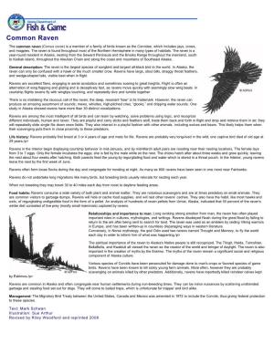 Common Raven: Wildlife Notebook Series