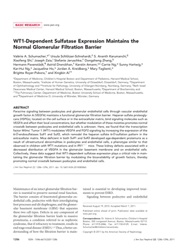 WT1-Dependent Sulfatase Expression Maintains the Normal Glomerular Filtration Barrier