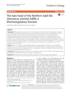 The Bare Head of the Northern Bald Ibis (Geronticus Eremita) Fulfills a Thermoregulatory Function Ismael Galván1* , Daniel Palacios2 and Juan José Negro1