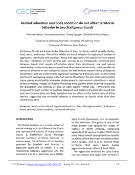 Ventral Coloration and Body Condition Do Not Affect Territorial Behavior in Two Sceloporus Lizards