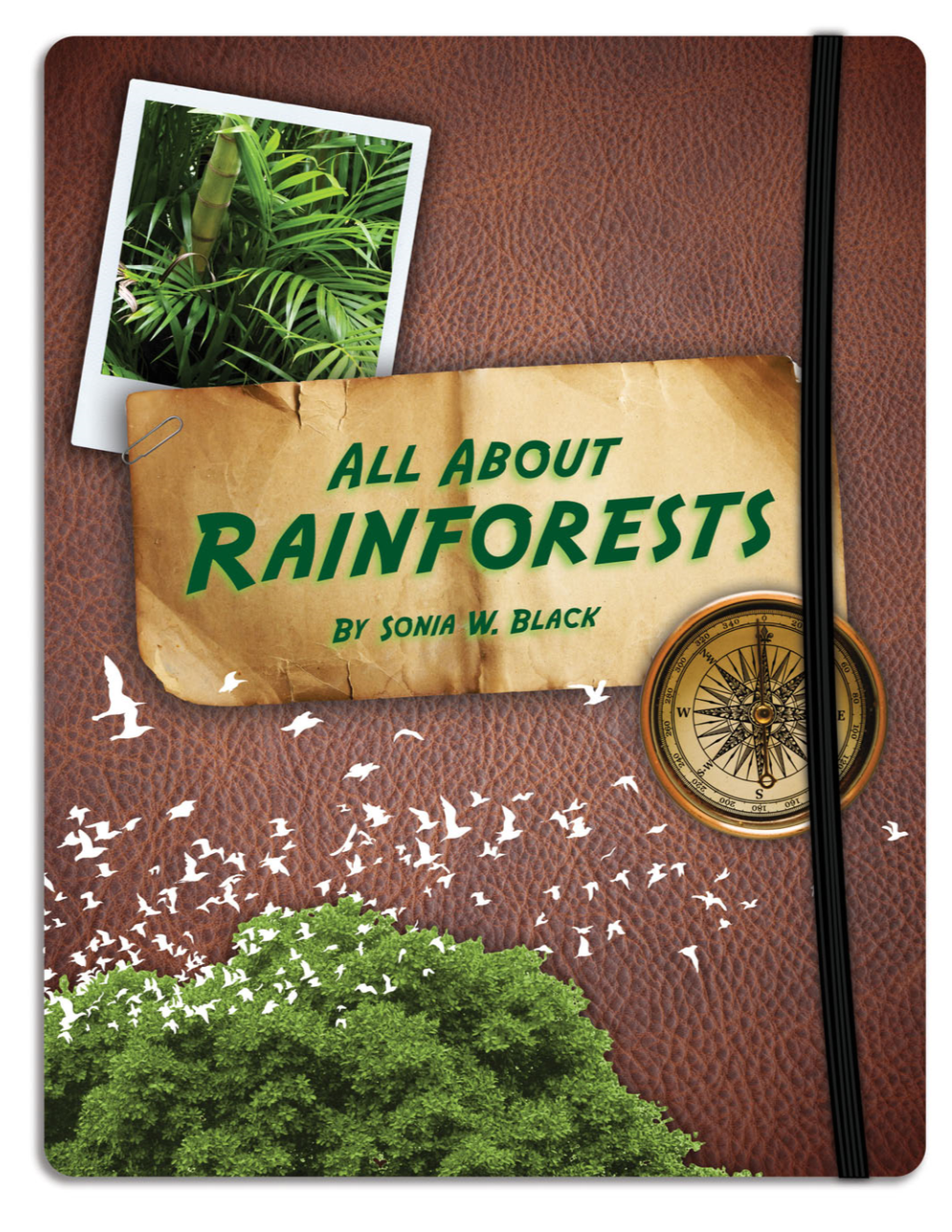 All About Rainforests Page: 1 Tropical Rainforests There Are Tropical ...