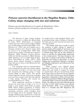 Polyzoa Opuntia (Ascidiacea) in the Magellan Region, Chile: Colony Shape Changing with Size and Substrate