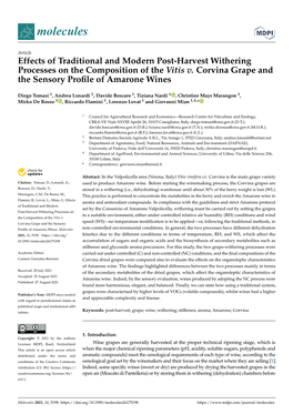 Effects of Traditional and Modern Post-Harvest Withering Processes on the Composition of the Vitis V