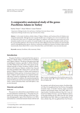 A Comparative Anatomical Study of the Genus Puschkinia Adams in Turkey