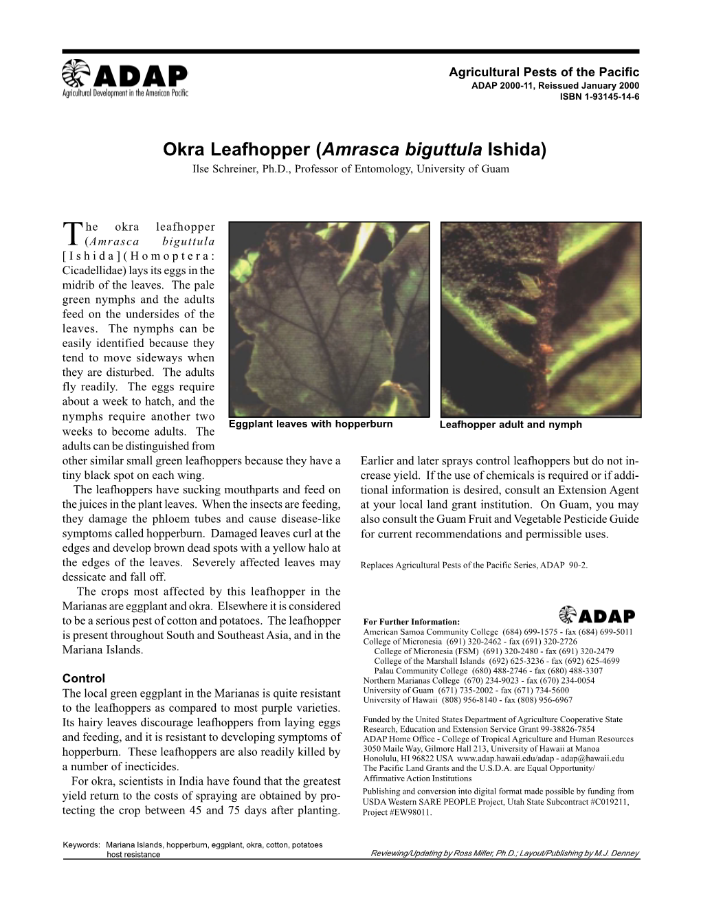 Okra Leafhopper (Amrasca Biguttula Ishida) Ilse Schreiner, Ph.D., Professor of Entomology, University of Guam