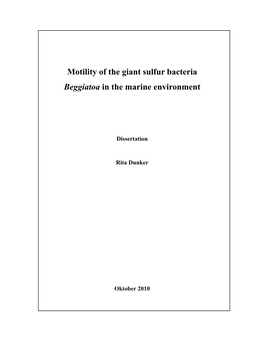 Motility of the Giant Sulfur Bacteria Beggiatoa in the Marine Environment