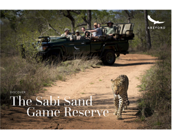 The Sabi Sand Game Reserve an Exclusive Safari Haven