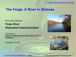 The Forge: a River in Distress