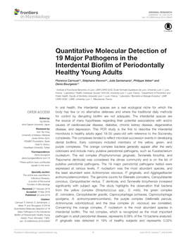 Quantitative Molecular Detection of 19 Major Pathogens in the Interdental Bioﬁlm of Periodontally Healthy Young Adults