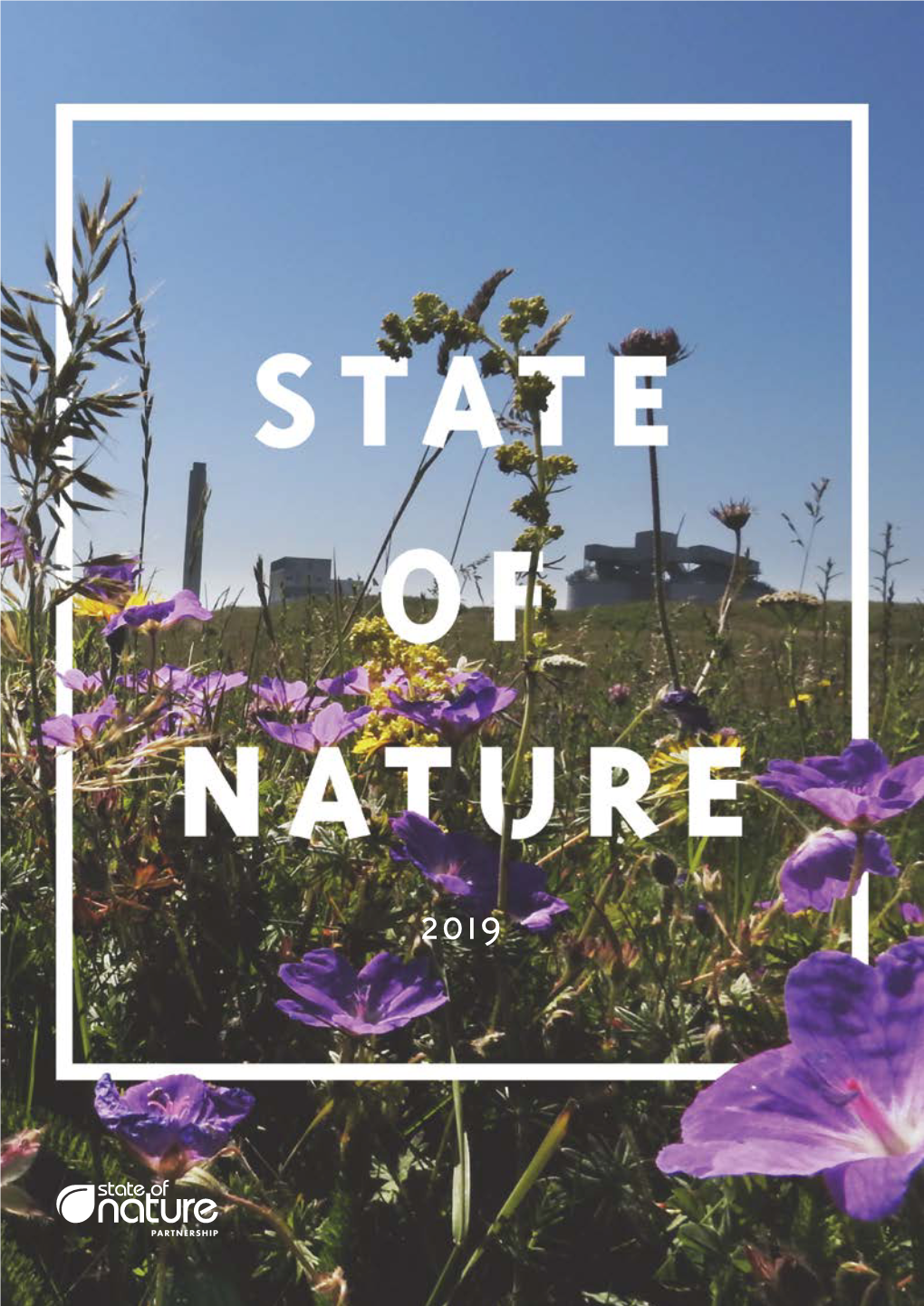 UK State of Nature Report 2019