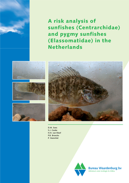 (Centrarchidae) and Pygmy Sunfishes (Elassomatidae) in the Netherlands