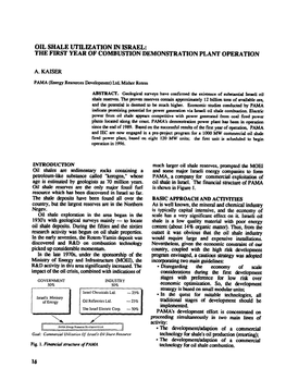 Oil Shale Utilization in Israel: the First Year of Combustion Demonstration Plant Operation