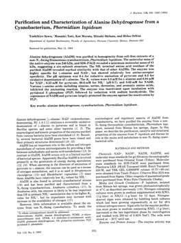 Purification and Characterization of Alanine Dehydrogenase from a Cyanobacterium, Phormidium Lapideum