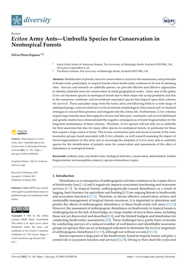 Eciton Army Ants—Umbrella Species for Conservation in Neotropical Forests