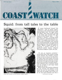 Squid: from Tall Tales to the Table