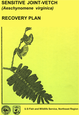 Sensitive Joint-Vetch Recovery Plan