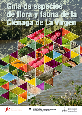 Guía De Especies De Flora Y Fauna De La Ciénaga De La Virgen