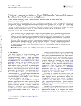 Mammalia, Perissodactyla) from a Cave Deposit in Northern Brazil: Taxonomy and Taphonomy