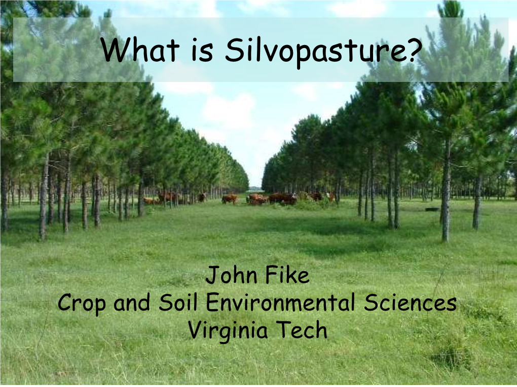 What Is Silvopasture? (PDF | 3MB)