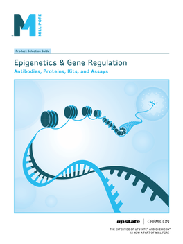 Epigenetics PUSH Guide