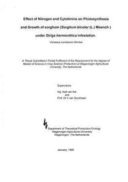 Under Striga Hermonthica Infestation