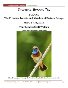 Poland: May 2015