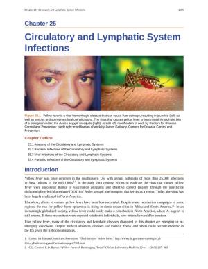 Circulatory and Lymphatic System Infections 1105