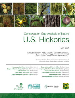 Conservation Gap Analysis of Native US Hickories