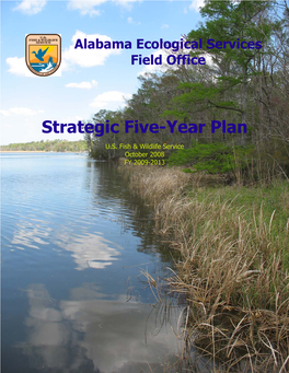 Strategic 5 Yr Plan Cover Page.Pub