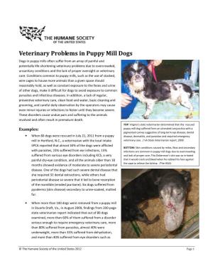 Veterinary Problems in Puppy Mill Dogs