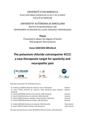 A New Therapeutic Target for Spasticity and Neuropathic Pain