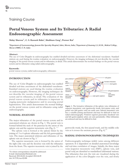 Portal Venous System and Its Tributaries: a Radial Endosonographic Assessment
