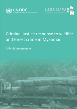 Myanmar Illicit Timber Trade Report 15