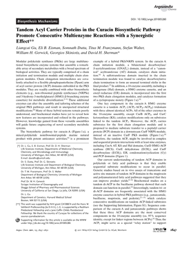 Tandem Acyl Carrier Proteins in the Curacin Biosynthetic Pathway Promote Consecutive Multienzyme Reactions with a Synergistic Effect** Liangcai Gu, Eli B