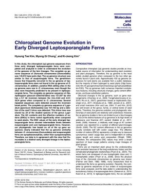 Chloroplast Genome Evolution in Early Diverged Leptosporangiate Ferns