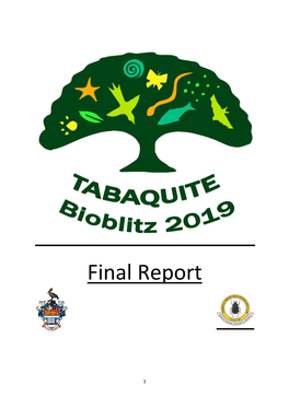 Final Report