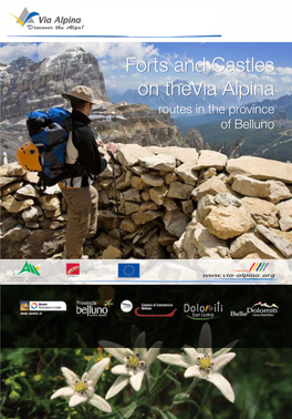 Forts and Castles on Thevia Alpina Routes in the Province of Belluno Index