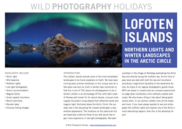 Lofoten Islands Northern Lights and Winter Landscapes in the Arctic Circle
