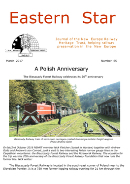 Number 65 a Polish Anniversary